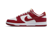 Nike Dunk Low USC